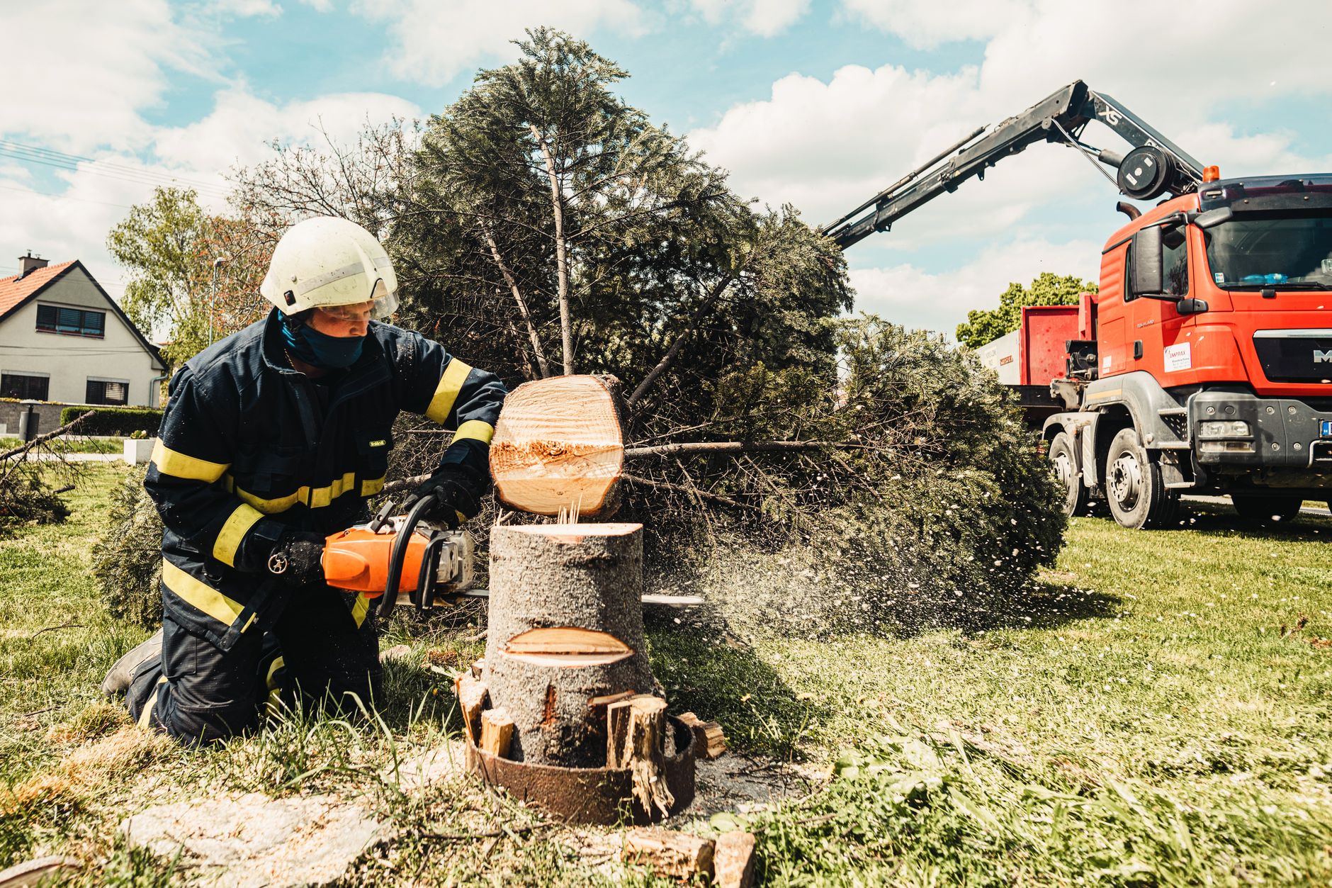 Stump Grinding – New Braunfels